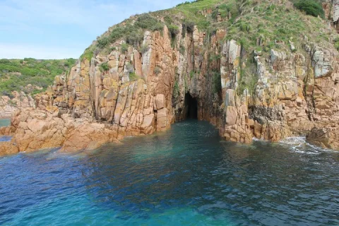 Cape Woolamai Sightseeing Cruise from San Remo in San Remo