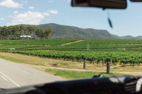 Premium Hunter Valley Wine Tour with 2 Course Lunch from Sydney in Sydney