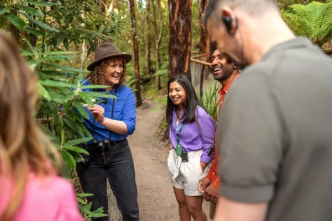 Walk with Wildlife: Guided Tour in Great Ocean Road in Apollo Bay