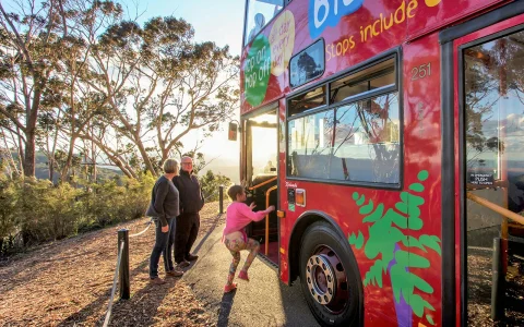 Blue Mountains Hop On Hop Off Explorer Bus + Scenic World in Sydney