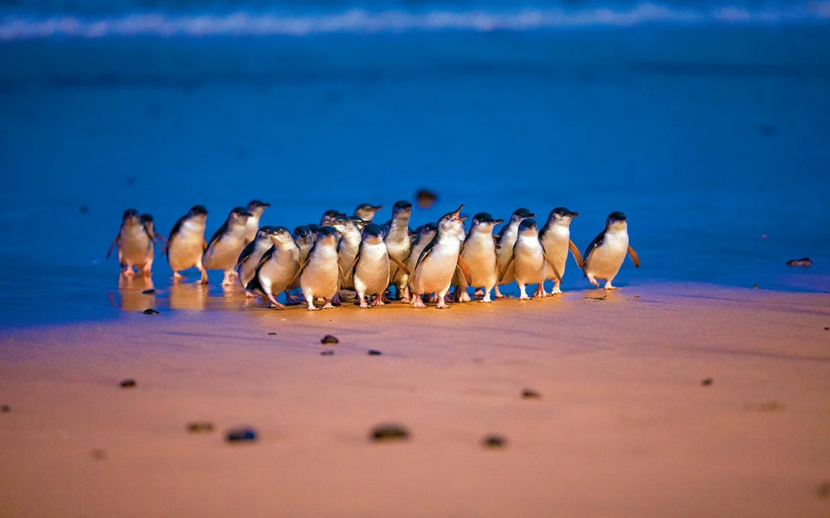 Beach.