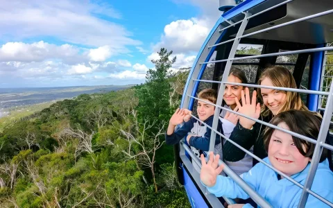 Arthurs Seat Eagle Gondola Round Trip Family Pass