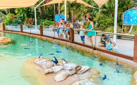 Unlimited 5 Day Theme Parks Pass: Movie World, Sea World & Wet'n'Wild