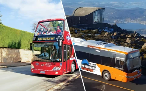 Combo (Save 6%): Hobart Hop on Hop off Bus Tour + kunanyi/Mt Wellington Explorer Bus Pass in Hobart
