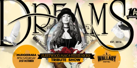DREAMS - Fleetwood Mac Tribute Show at Wallaby Hotel