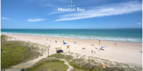 TEMB Volunteer Christmas Celebration at Tourism and Events Moreton Bay