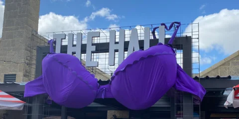 Electrical Industry's Purple Bra Day Fundraiser at The Camfield