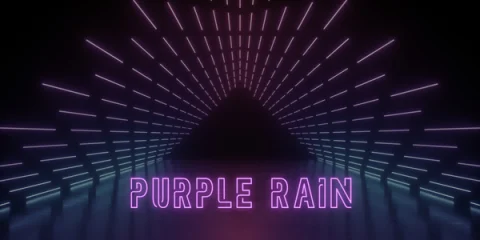PURPLE RAIN at The River