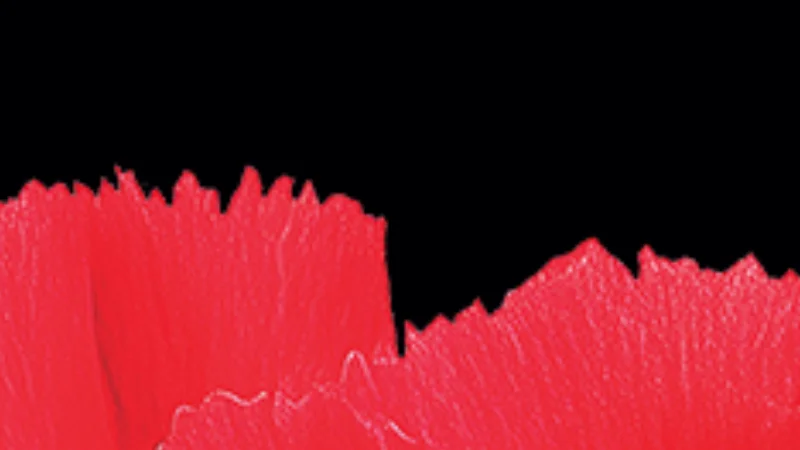 Carmen at Her Majesty's Theatre Adelaide