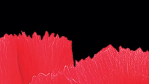 Carmen at Her Majesty's Theatre Adelaide