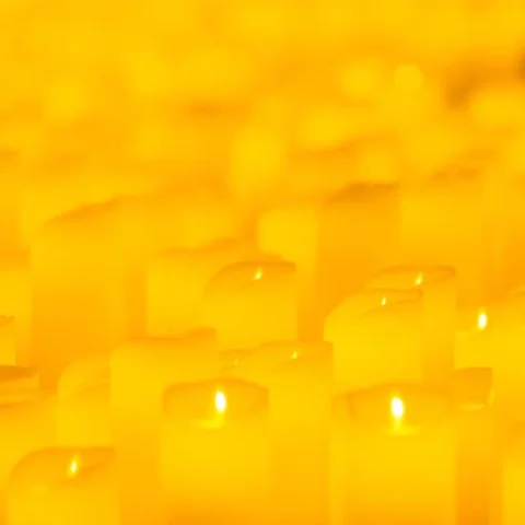 Candlelight: Vivaldi's Four Seasons at James Fairfax Theatre at National Gallery of Australia
