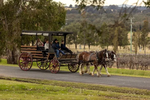 3 Hour Wine and Harvest the Hunter Horse Tour in Pokolbin in Singleton