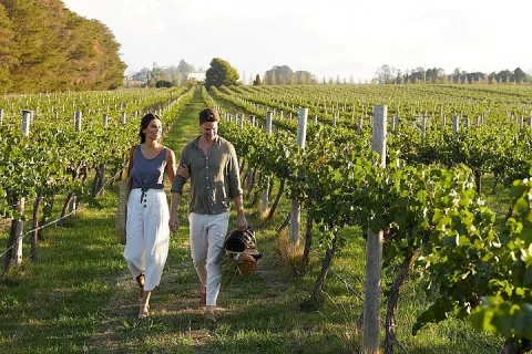 Ultimate Food and Wine Lovers Escape in Orange