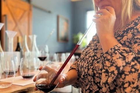 Winemaking Class at McCaffrey's Estate in Singleton