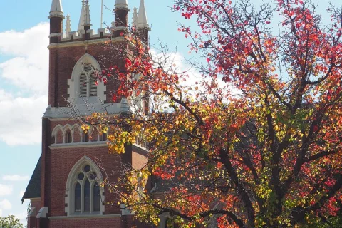 Mudgee's Secrets and Hidden History Walking Tour in Mudgee