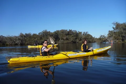 Kayak Tour on the Canning River in Perth