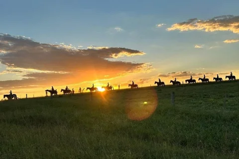 Hunter Valley Sunset Horse Ride 90 Minutes in Singleton