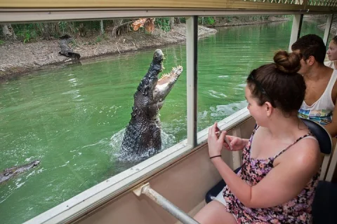 Hartley's Crocodile Adventures Day Trip from Cairns in Cairns