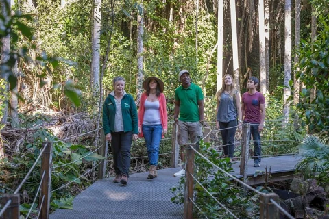 Sea Acres Rainforest Boardwalk Tour in Port Macquarie