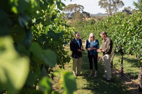 Immerse with Swinging Bridge Tour in Orange