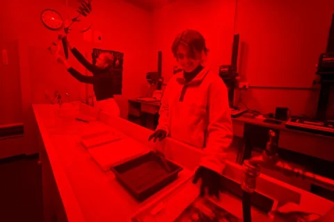 Melbourne Darkroom Photography Experience in Melbourne