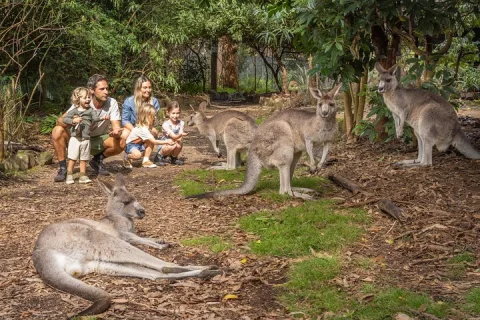 Tour from Eden to Merimbula Wetlands Wildlife and Coastline in Eden