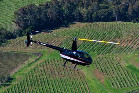 Hunter Valley Wine Country Helicopter Flight from Cessnock in Singleton