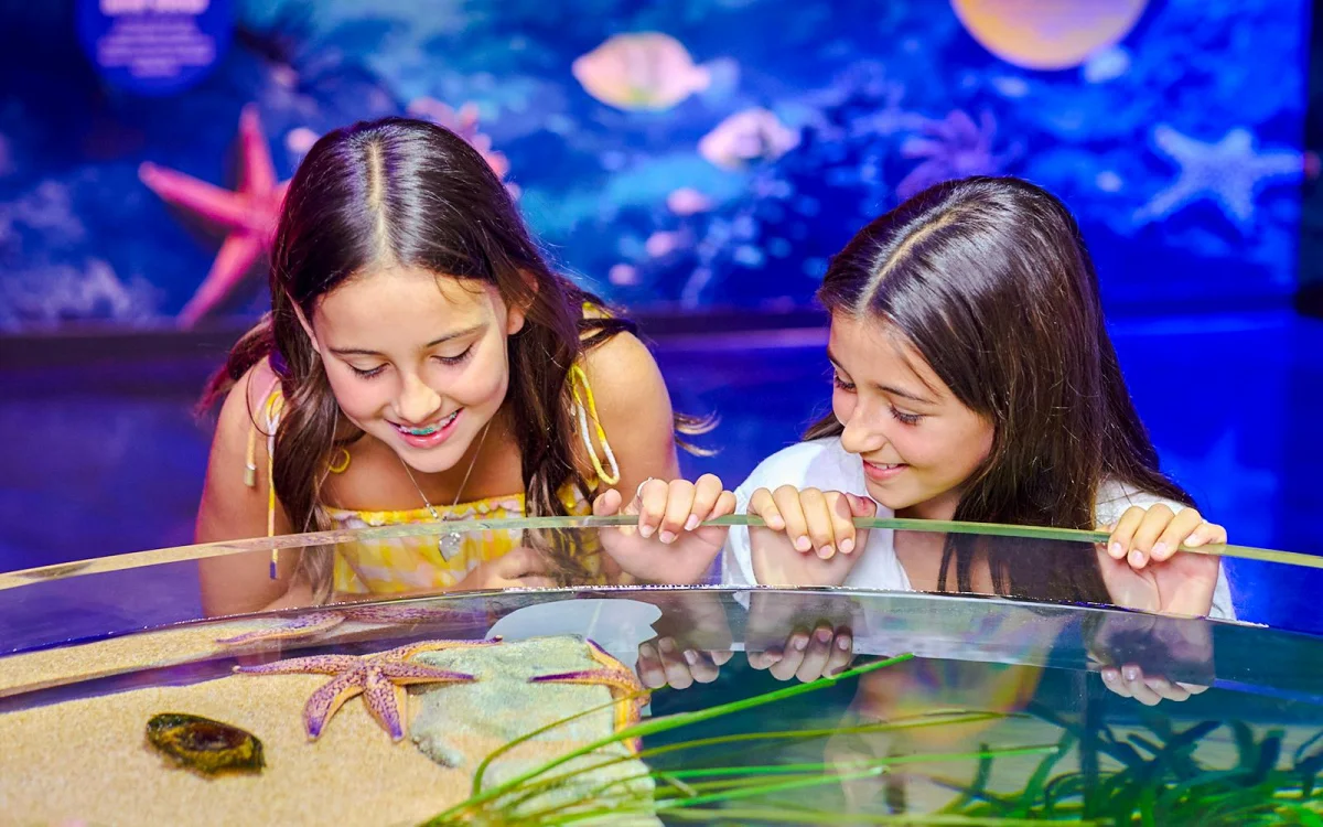 Aquarium display.