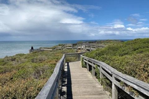 Great Ocean Road Reverse Express Tour: Beat the Melbourne Crowd in Melbourne