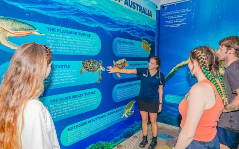 From Cairns: Fitzroy Island & Moore Reef Tour with Pontoon Activities & at Island Buffet Lunch by Sunlover in Cairns