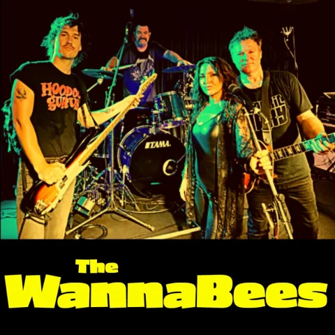 The Wannabees, Saturday Night Live Music at Beach House Hotel