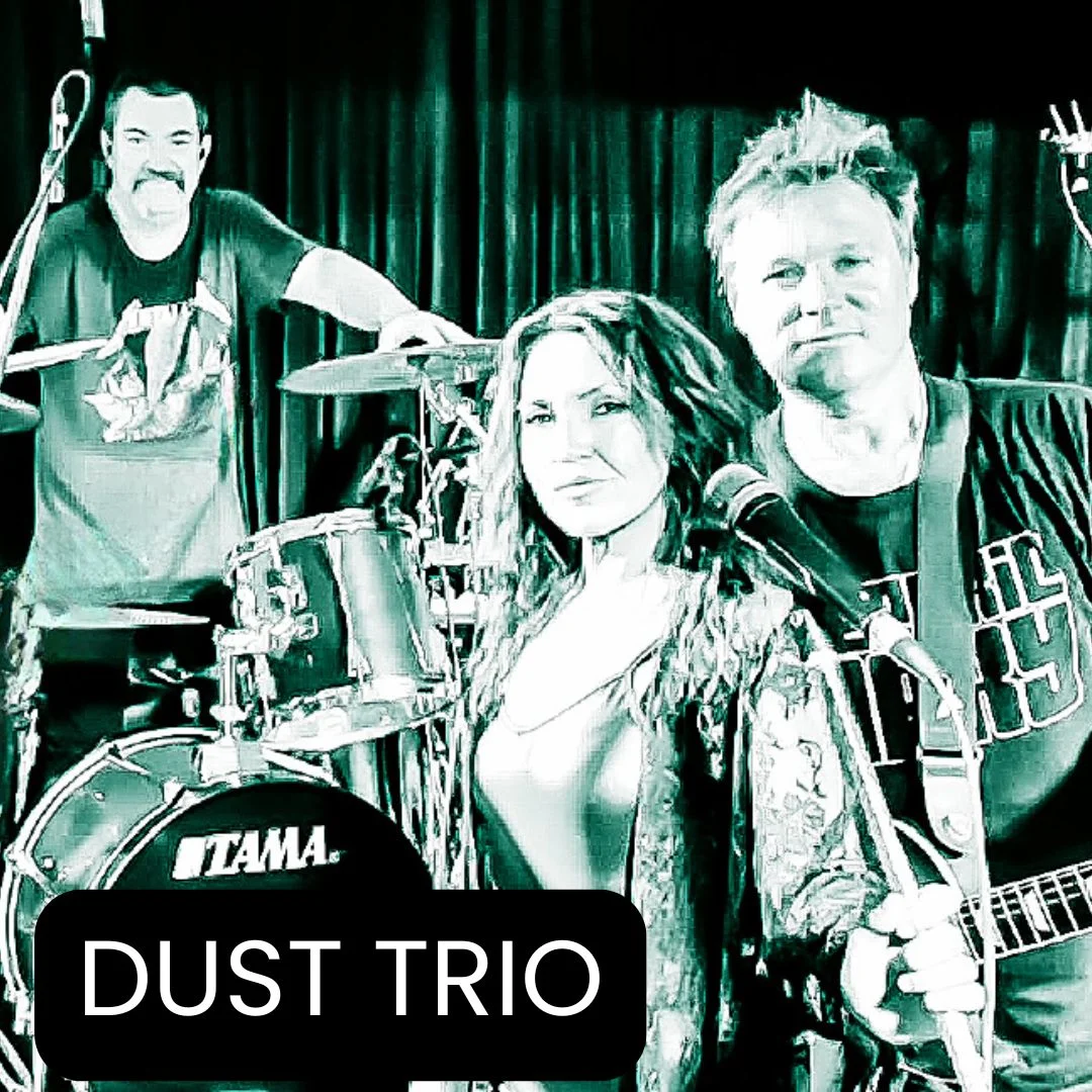 Dust Trio, Friday Night Live Music at Carriers Arms Hotel Motel