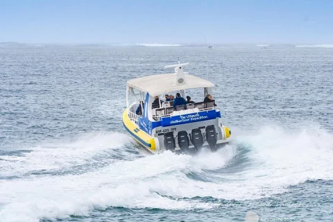 Whale Watching Cruise in New South Wales in Wollongong
