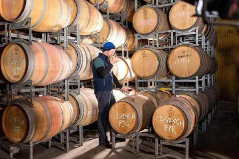 1 Hour Wine tasting at Ross Hill Wines in Orange NSW in Orange
