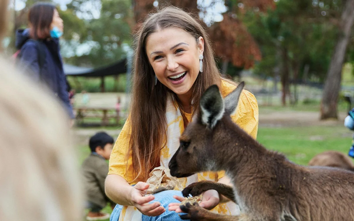 Kangaroo.