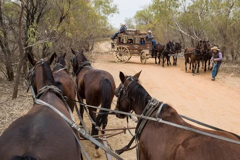 Cobb & Co Stagecoach Experience in Longreach in Longreach