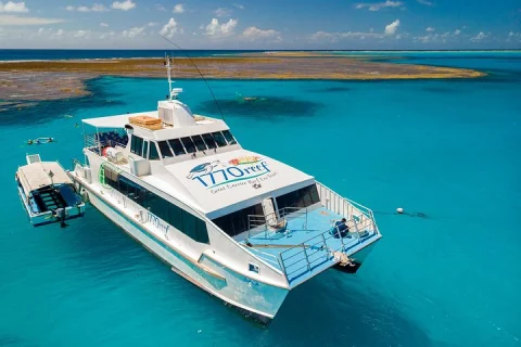 Day Tour to Lady Musgrave Island in Seventeen Seventy