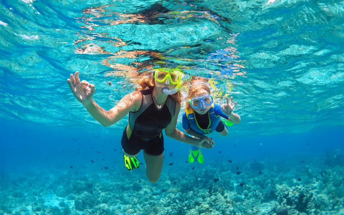 Snorkelling in the water. Coral underwater.