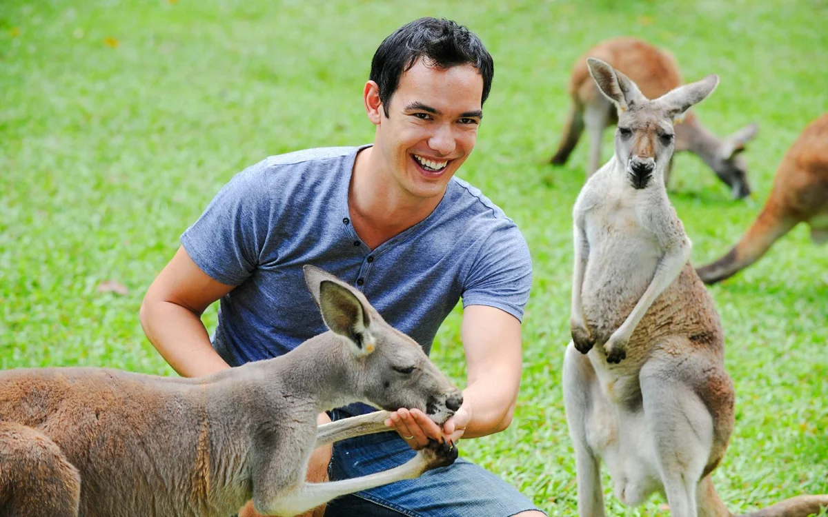 Kangaroo.