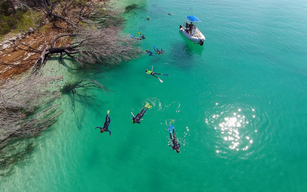 Snorkelling in the water. Boat on the water.