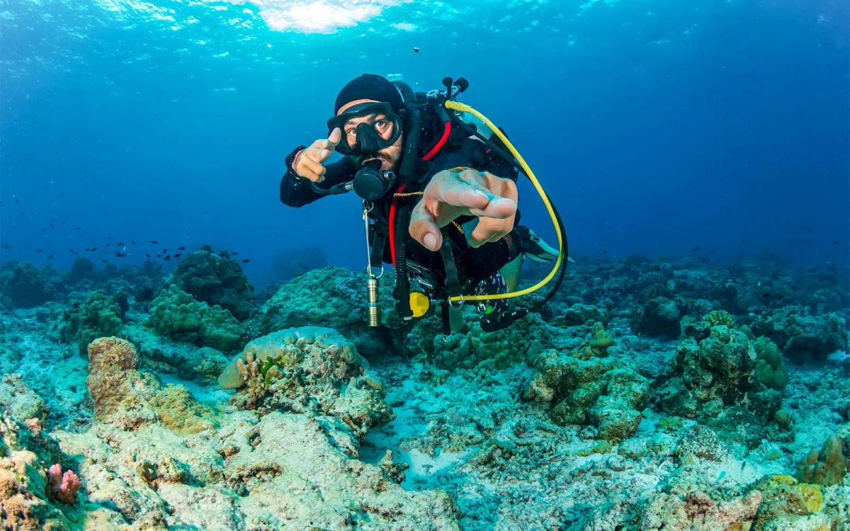 Coral underwater.