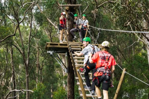Gold Coast Canyon Flyer Zipline Tour in Gold Coast