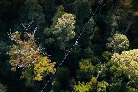 High Ropes and Zipline Adventure Adrenaline Pass in Gold Coast