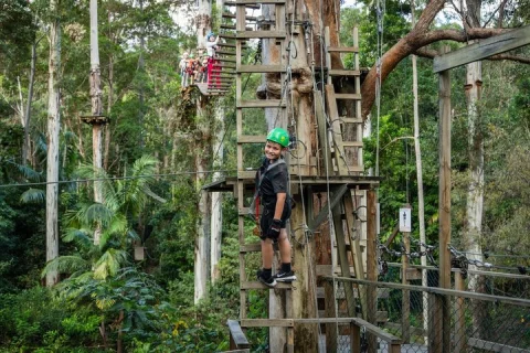 Tamborine Mountain High Ropes and Zipline Adventure Park in Gold Coast