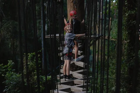 Sunshine Coast High Ropes and Zipline Adventure Park in Sunshine Coast