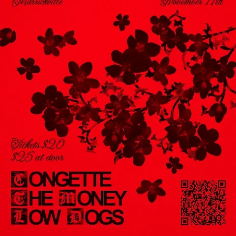 Congette + The Low Dogs + The Money at Lazybones Lounge Restaurant & Bar