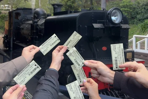 Puffing Billy with Moonlit Sanctuary and Brighton Beach Tour in Melbourne