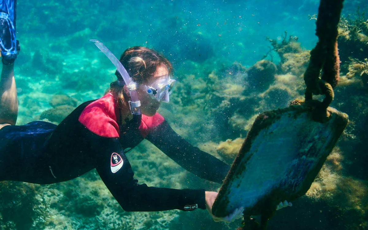 Snorkelling in the water.