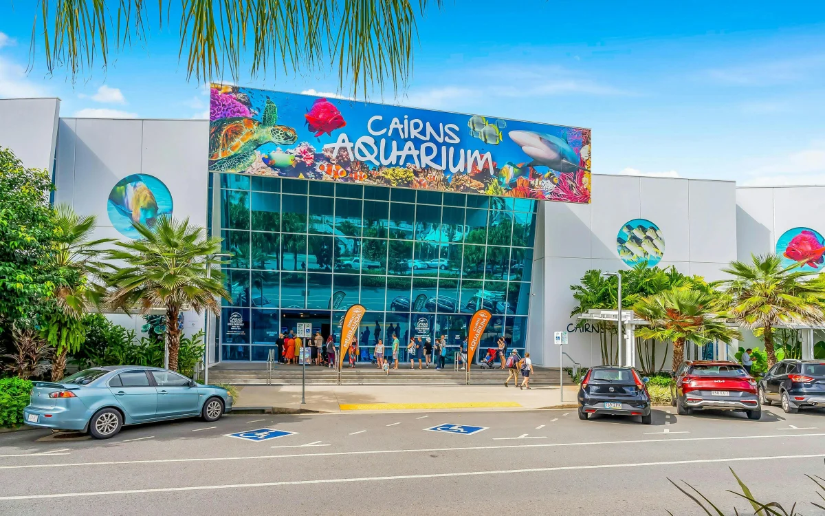 Aquarium display.