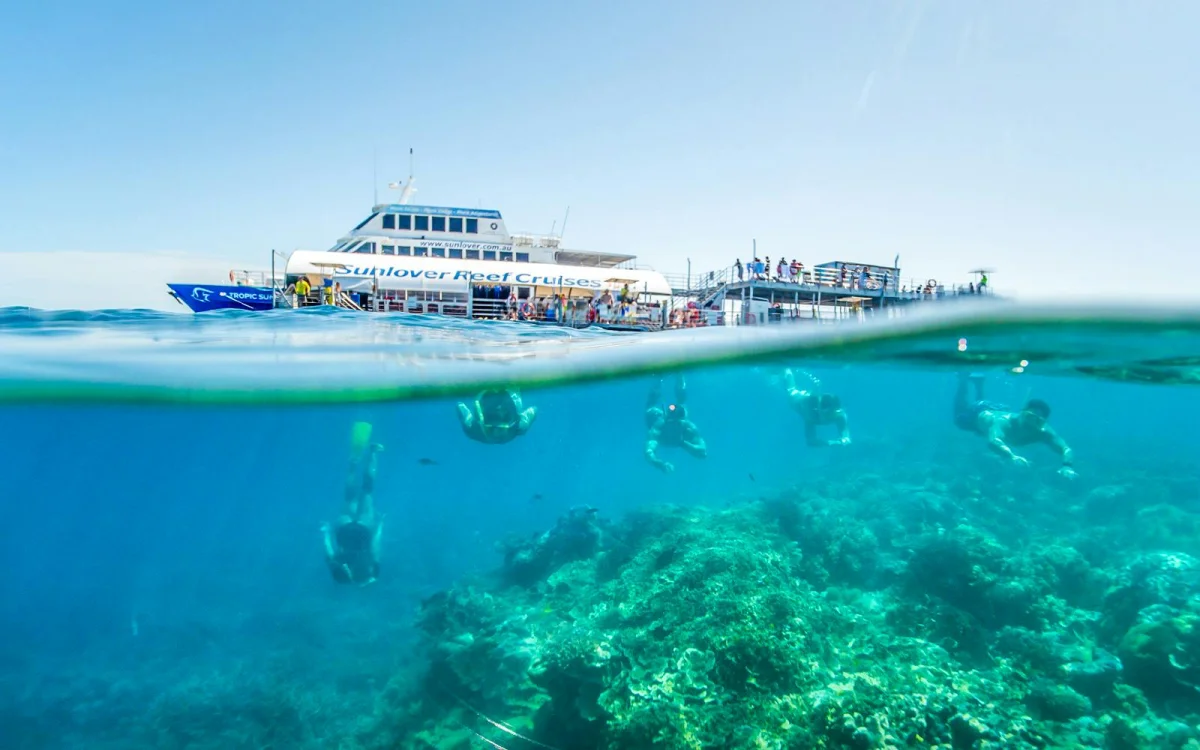 Snorkelling in the water. Coral underwater.